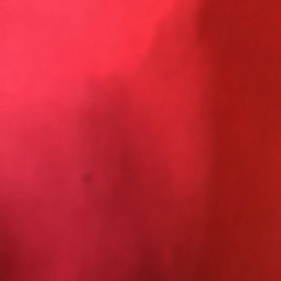 Eileen Fisher Red Trench Coat with Notched Lapels - Picture 11 of 12